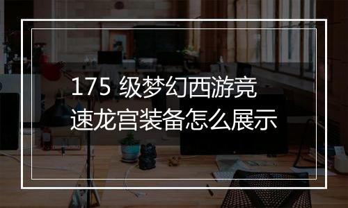 175 级梦幻西游竞速龙宫装备怎么展示
