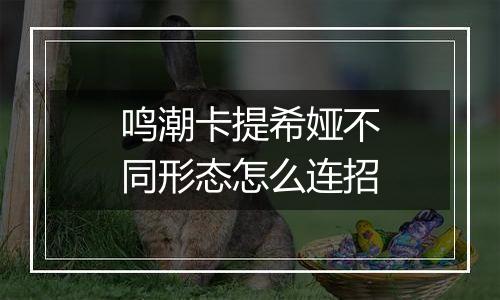 鸣潮卡提希娅不同形态怎么连招