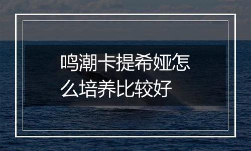 鸣潮卡提希娅怎么培养比较好