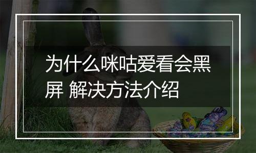 为什么咪咕爱看会黑屏 解决方法介绍
