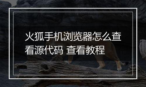 火狐手机浏览器怎么查看源代码 查看教程