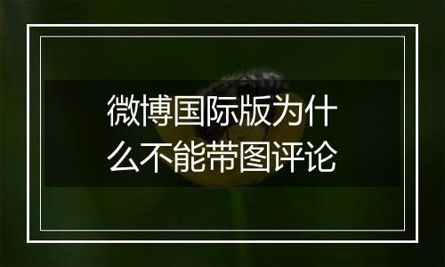微博国际版为什么不能带图评论