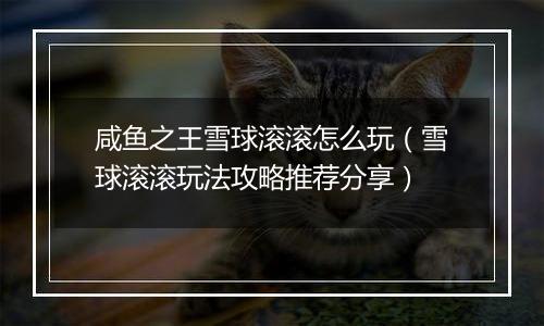 咸鱼之王雪球滚滚怎么玩（雪球滚滚玩法攻略推荐分享）