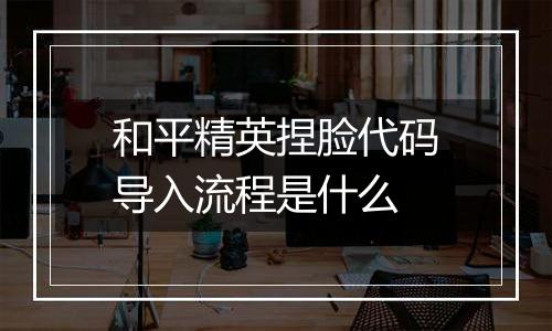 和平精英捏脸代码导入流程是什么