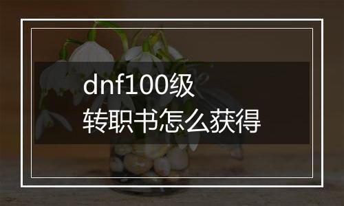 dnf100级转职书怎么获得
