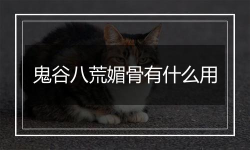 鬼谷八荒媚骨有什么用