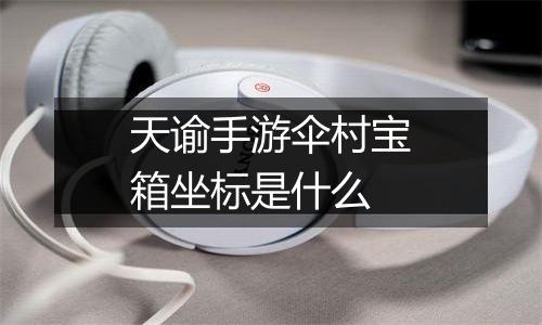 天谕手游伞村宝箱坐标是什么