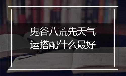 鬼谷八荒先天气运搭配什么最好