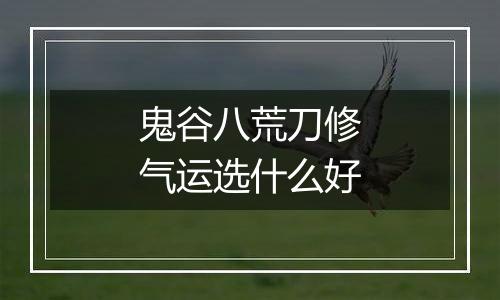 鬼谷八荒刀修气运选什么好