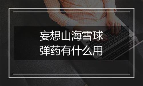 妄想山海雪球弹药有什么用