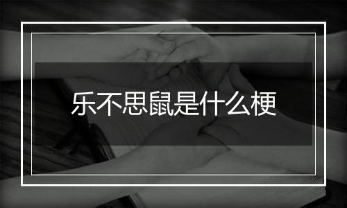 乐不思鼠是什么梗