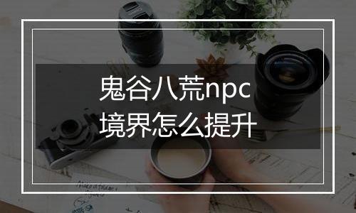 鬼谷八荒npc境界怎么提升