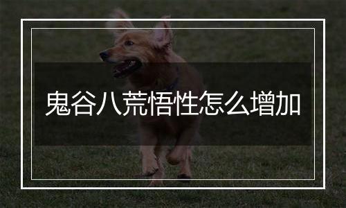 鬼谷八荒悟性怎么增加