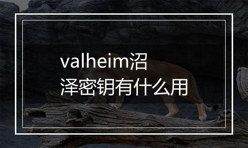 valheim沼泽密钥有什么用