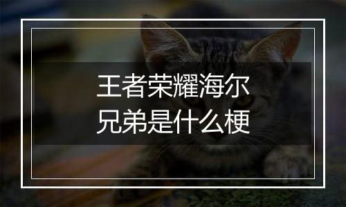 王者荣耀海尔兄弟是什么梗