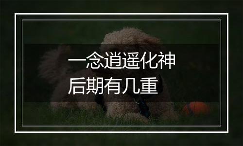 一念逍遥化神后期有几重