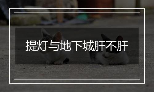 提灯与地下城肝不肝