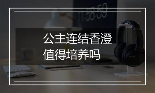 公主连结香澄值得培养吗