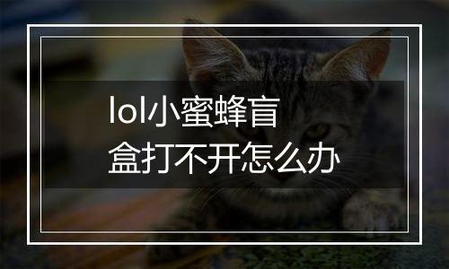 lol小蜜蜂盲盒打不开怎么办