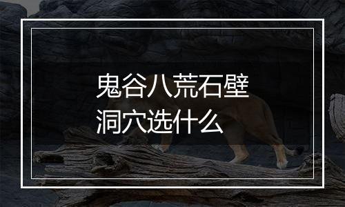 鬼谷八荒石壁洞穴选什么