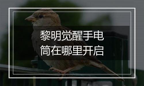 黎明觉醒手电筒在哪里开启