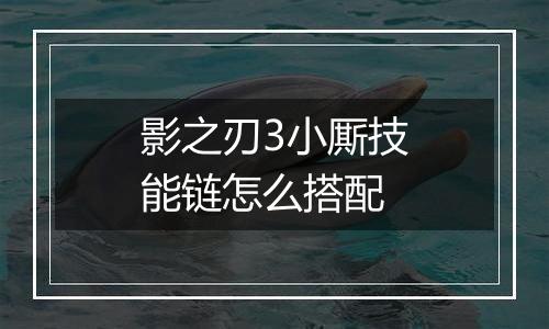 影之刃3小厮技能链怎么搭配