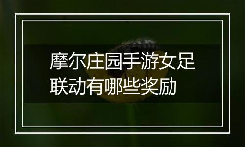 摩尔庄园手游女足联动有哪些奖励