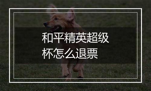 和平精英超级杯怎么退票