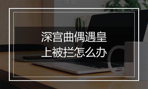 深宫曲偶遇皇上被拦怎么办