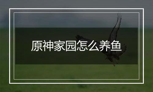 原神家园怎么养鱼