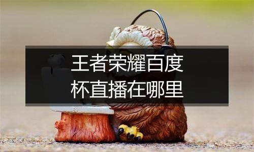 王者荣耀百度杯直播在哪里