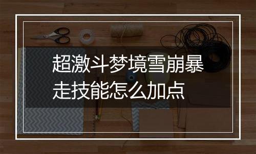 超激斗梦境雪崩暴走技能怎么加点