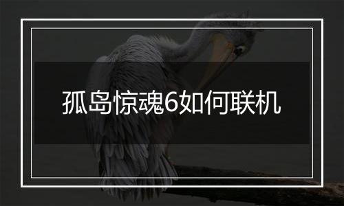 孤岛惊魂6如何联机