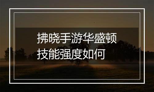 拂晓手游华盛顿技能强度如何