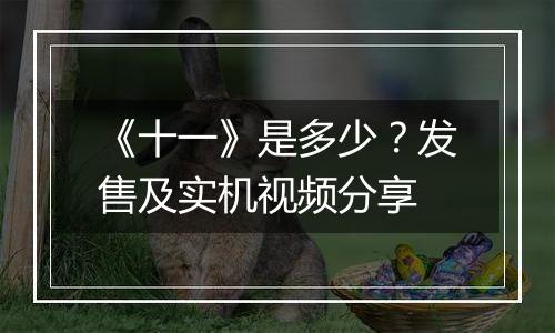 《十一》是多少？发售及实机视频分享