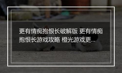 更有情痴抱恨长破解版 更有情痴抱恨长游戏攻略 橙光游戏更有情痴抱恨长攻略