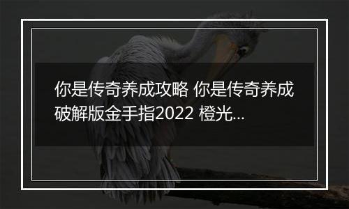 你是传奇养成攻略 你是传奇养成破解版金手指2022 橙光游戏你是传奇养成完美剧情攻略