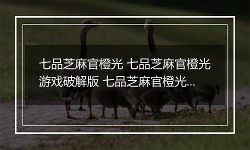七品芝麻官橙光 七品芝麻官橙光游戏破解版 七品芝麻官橙光游戏攻略