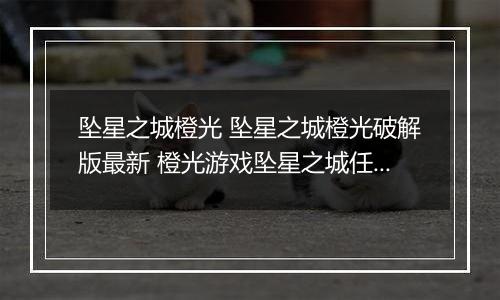 坠星之城橙光 坠星之城橙光破解版最新 橙光游戏坠星之城任务攻略