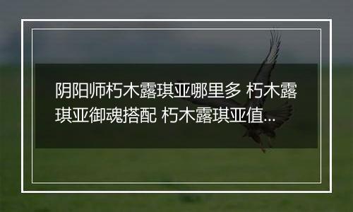 阴阳师朽木露琪亚哪里多 朽木露琪亚御魂搭配 朽木露琪亚值得培养吗