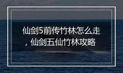 仙剑5前传竹林怎么走，仙剑五仙竹林攻略
