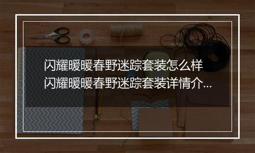 闪耀暖暖春野迷踪套装怎么样  闪耀暖暖春野迷踪套装详情介绍