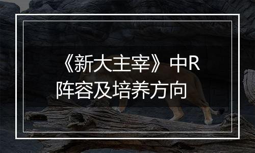 《新大主宰》中R阵容及培养方向