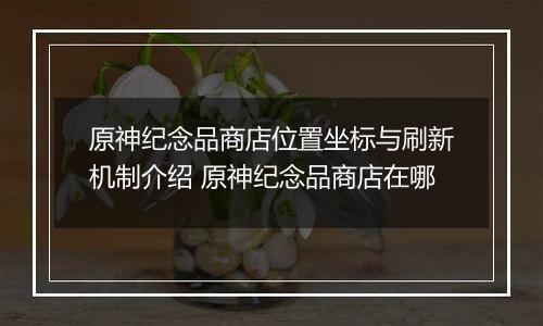 原神纪念品商店位置坐标与刷新机制介绍 原神纪念品商店在哪