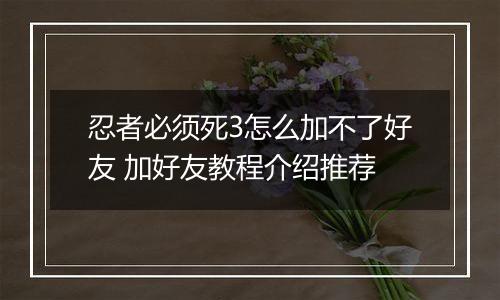 忍者必须死3怎么加不了好友 加好友教程介绍推荐