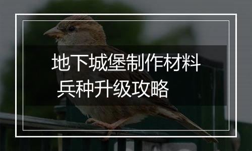 地下城堡制作材料 兵种升级攻略