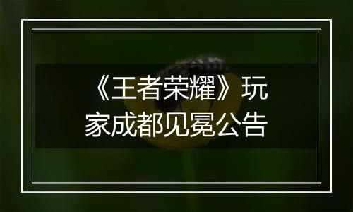 《王者荣耀》玩家成都见冕公告