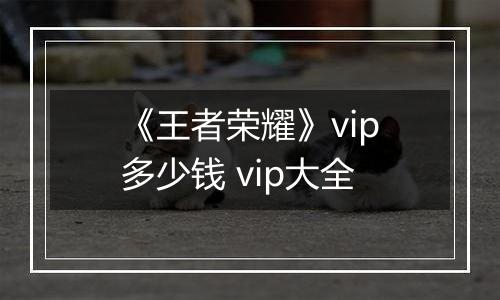 《王者荣耀》vip多少钱 vip大全