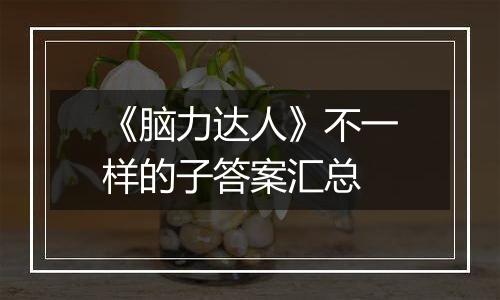 《脑力达人》不一样的子答案汇总