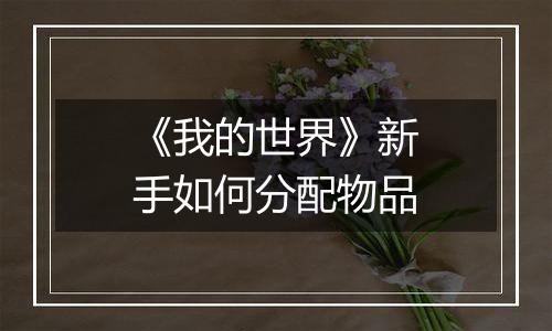 《我的世界》新手如何分配物品